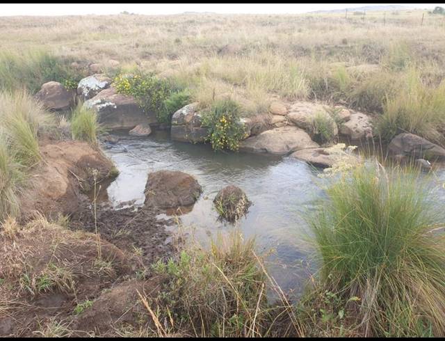 FARM FOR SALE IN ROOSSENEKAL AH